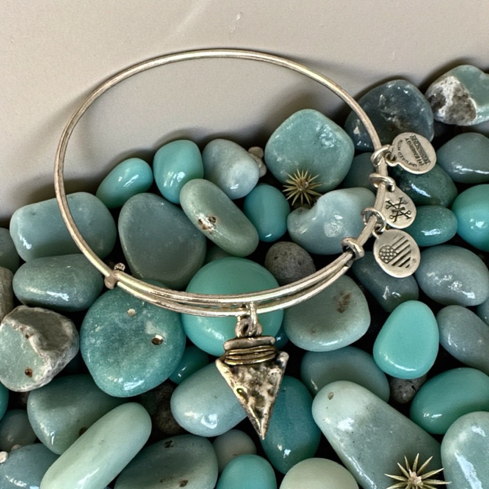🏷️‼️5/$25🏷️‼️🩶ALEX & ANI🩶Arrowhead Charm Bangle in Rafaelian Silver/EUC